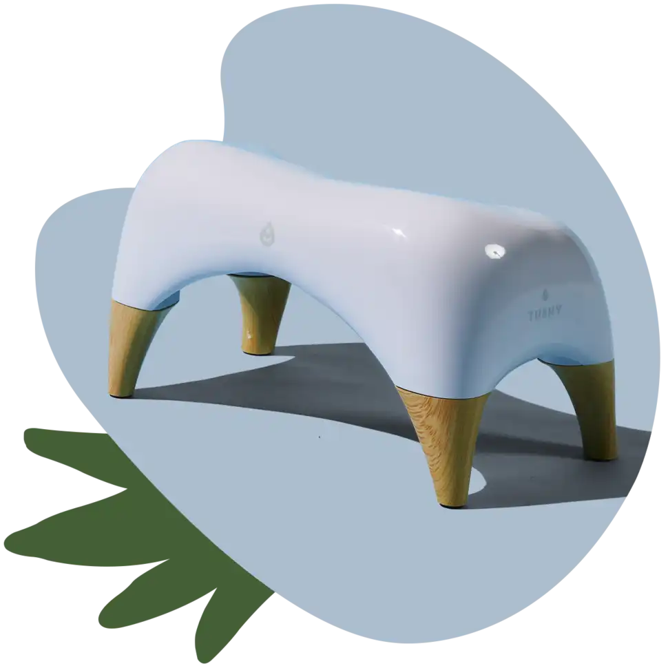 TUSHY Ottoman Offer