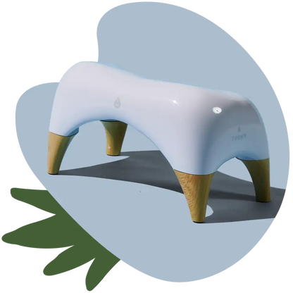 TUSHY Ottoman Offer