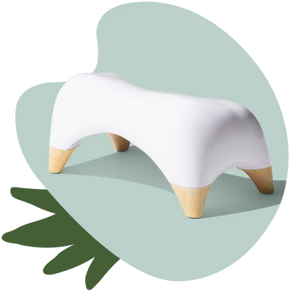 TUSHY Ottoman Offer